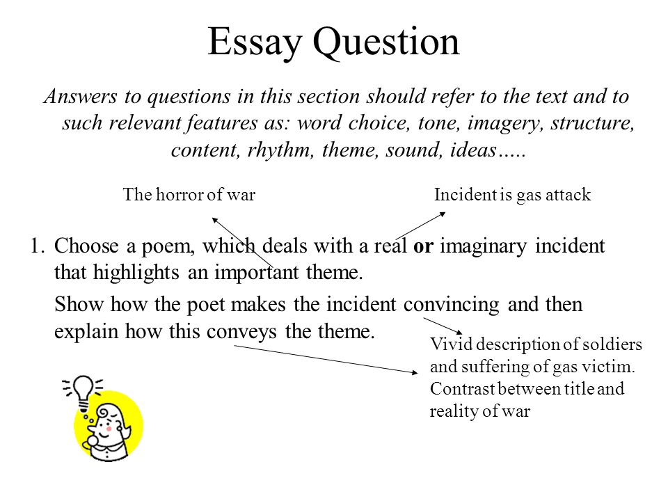 Important words in essay questions